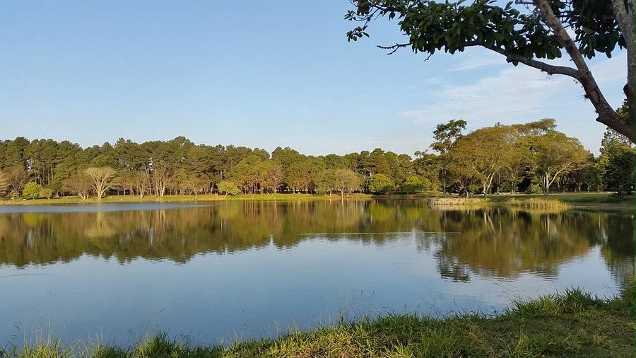 Lago do bairro Pousada Chácara do Vale, em São José dos Campos, cercado por área verde